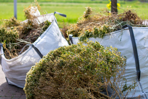 Best Professional Junk Removal  in Jackson, GA